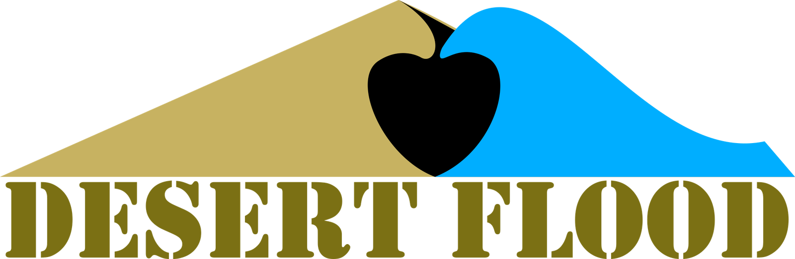 Mission: Desert Flood